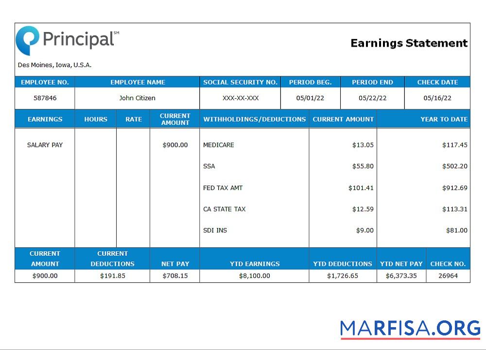 Realistic USA financial earning statement 1 real example